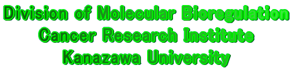 Division of Molecular Bioregulation Cancer Research Institute, Kanazawa University
