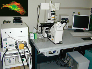共焦点レーザースキャン顕微鏡