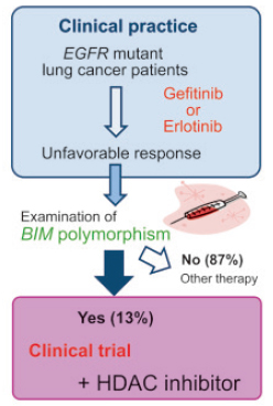 Strategy to overcome BIM polymorphism-associated targeted drug resistance by combined use of HDAC inhibitors