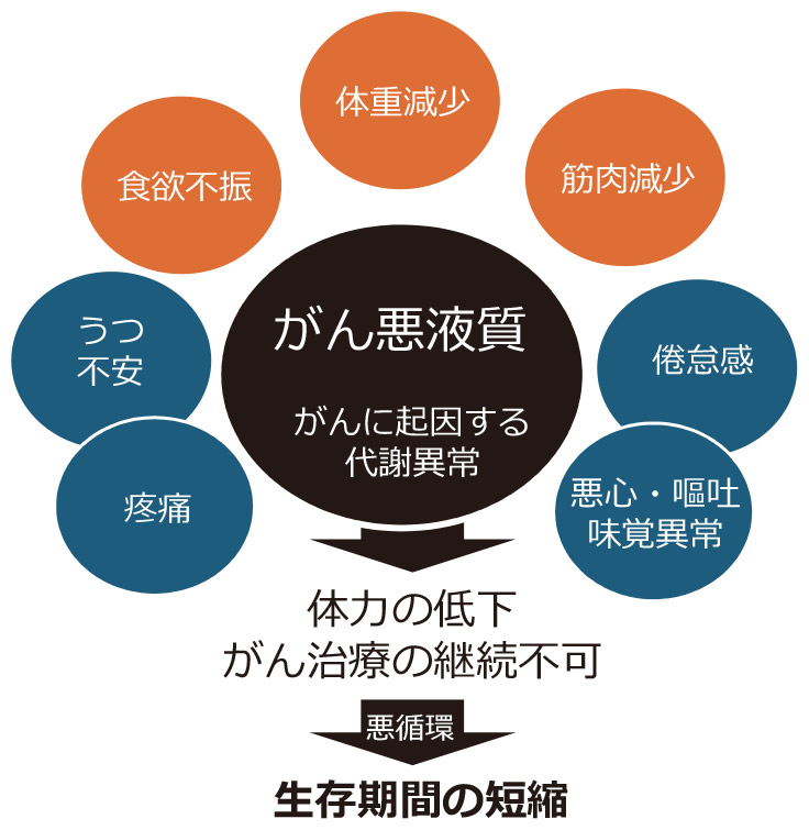 図2　悪液質の症状と生命予後への影響