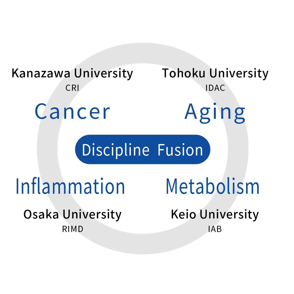 Discipline Fusion