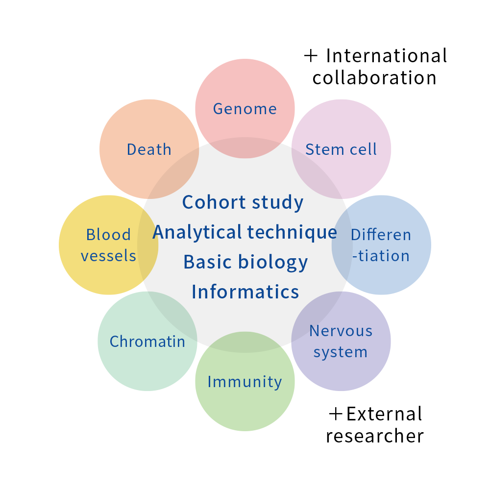 Overview diagram
